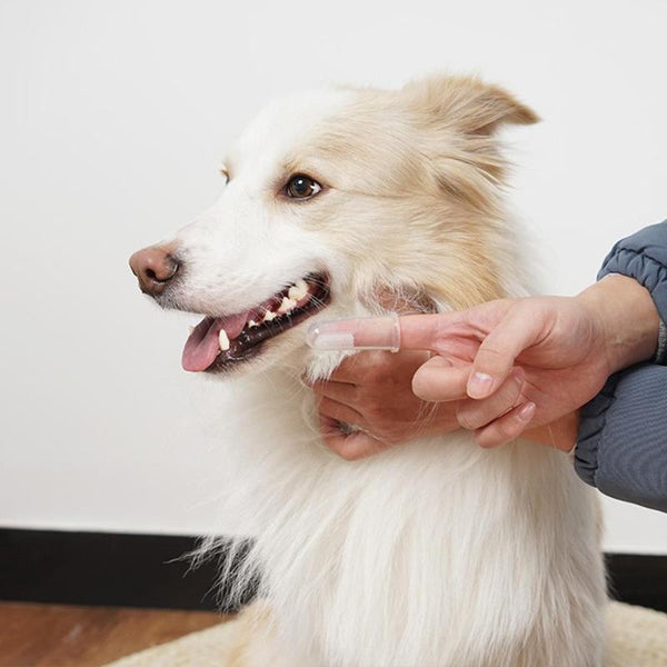 Pet Finger Toothbrush Teddy Dog Brush